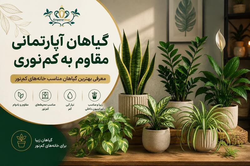 گیاهان آپارتمانی مقاوم به کم نوری